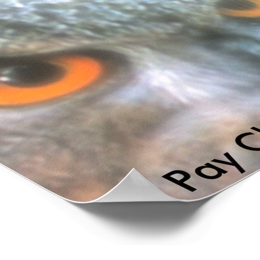 Poster Soyez Sage Chouette À Vie !, Payez Clos... (Coin)