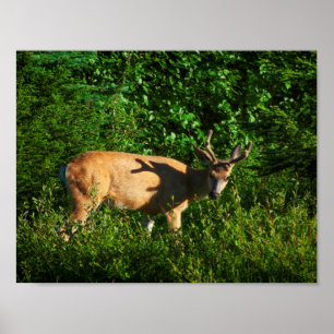 Poster Soyez sur votre chemin