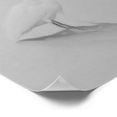 Poster Soyez toujours Egret (Coin)