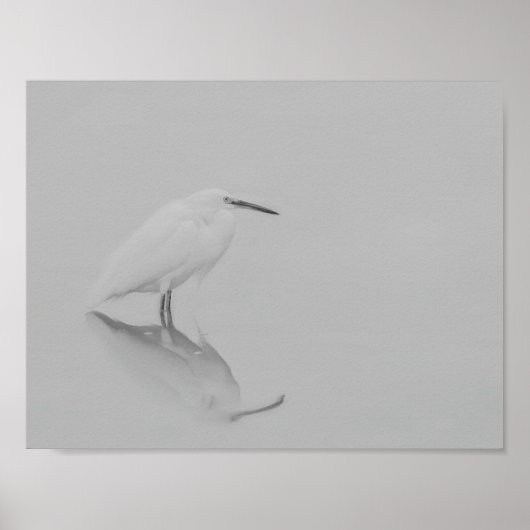 Poster Soyez toujours Egret (Devant)