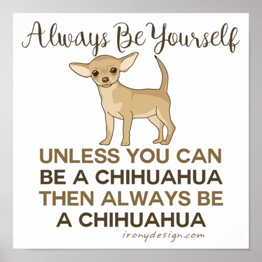 Poster Soyez toujours un Chihuahua (Devant)