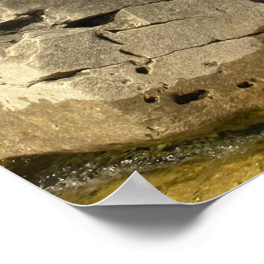 Poster Soyez un chien : ne laissez pas les obstacles bloq (Coin)