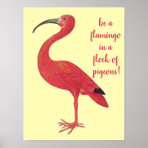 Poster Soyez un Flamant rose - Amusant, Citation inspiran