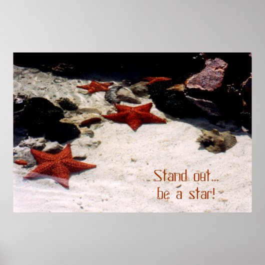Poster Soyez une étoile par tdgallery (Devant)