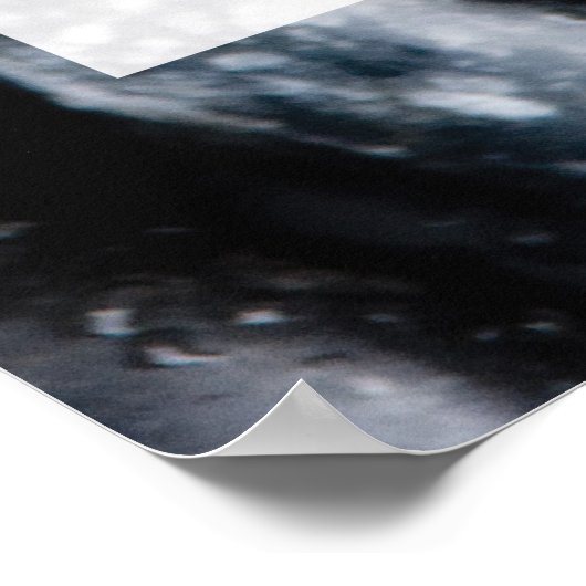 Poster Spa Serenity Alternative Medicine Art (Coin)