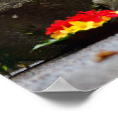 Poster SPA set (Coin)