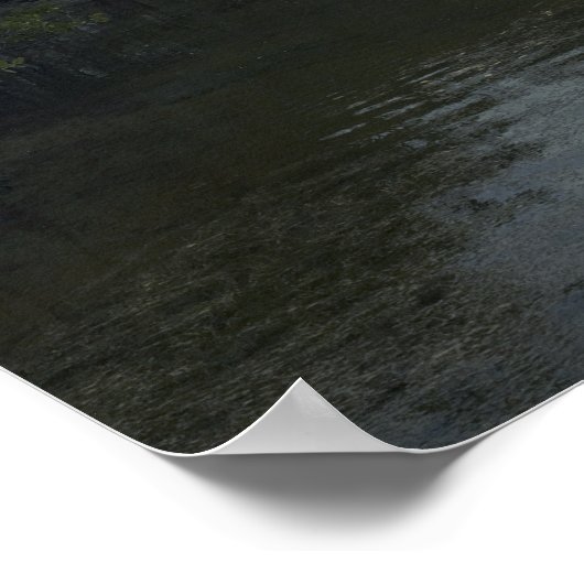 Poster Space Shuttle Atlantis lève sur 14 (Coin)