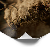 Poster Spaghetti au beurre de truffe (Coin)