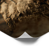 Poster Spaghetti au beurre de truffe (Coin)