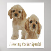 Poster spaniers cocker (Devant)