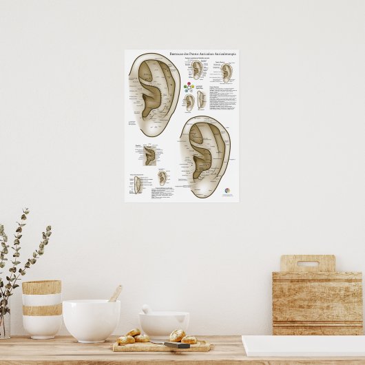 Poster Spanish Ear Acupuncture Chart (Cuisine)