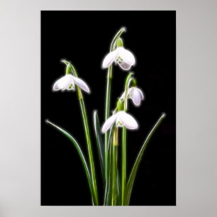 Poster Sparkling Snowdrops