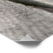 Poster Sparrow - Après la transatlantique (Coin)