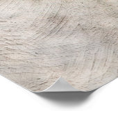 Poster Sparrow - Le Guerrier (Coin)