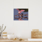 Poster Spatule rosée avec des willet dans des eaux peu pr (Cuisine)