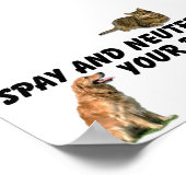 Poster Spay et Neuter (Coin)