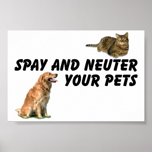Poster Spay et Neuter (Devant)