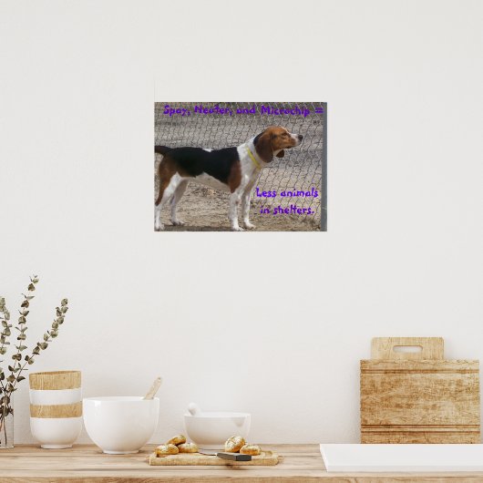 Poster Spay, Neuter, Microchip (Cuisine)