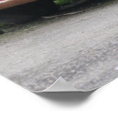 Poster Special Hill Billy Racing (Coin)