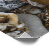Poster Spécialité du Chef. (Coin)