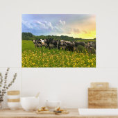 Poster Speckle Park Cattle Under Rain Show, Sunset Sky (Cuisine)