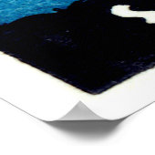 Poster Spectacle aérien de Saint-Louis 1930 (Coin)