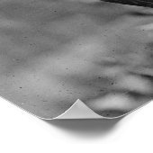 Poster Spectacle de chiens de 1915 (Coin)