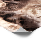 Poster Spectacle de fous (Coin)