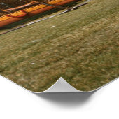 Poster Spectacle de Hula (Coin)