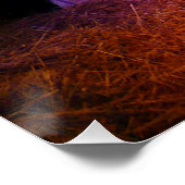 Poster Spectacle de Noël de la crèche à Washington DC (Coin)