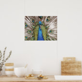 Poster Spectacle Peacock pour les visiteurs (Cuisine)