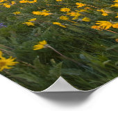 Poster Spectaculaire prairie fleur sauvage au lever du so (Coin)