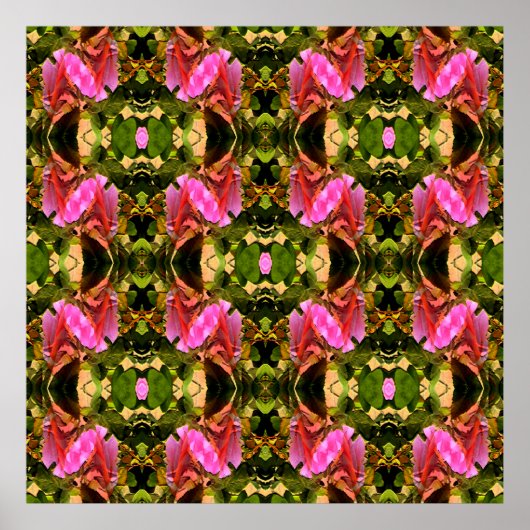 Poster Spectaculaire rose...... (Devant)