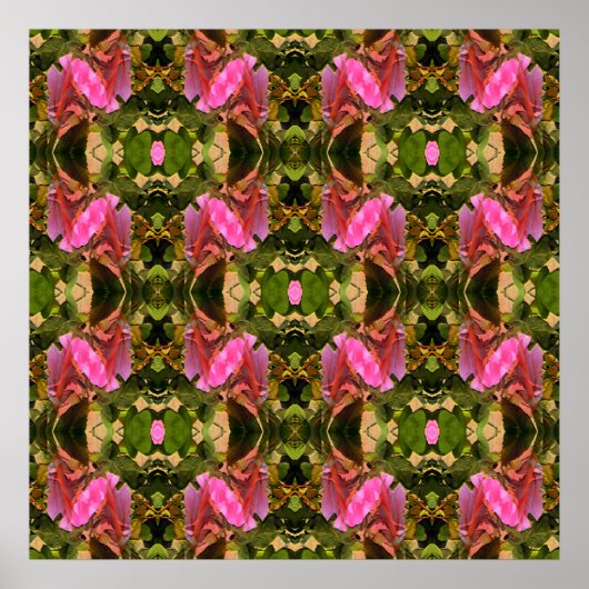 Poster Spectaculaire rose.... (Devant)