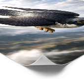 Poster Speed of the Sky – Peregrine Falcon in Descent (Coin)