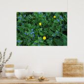 Poster Speedwell et Buttercups (Cuisine)