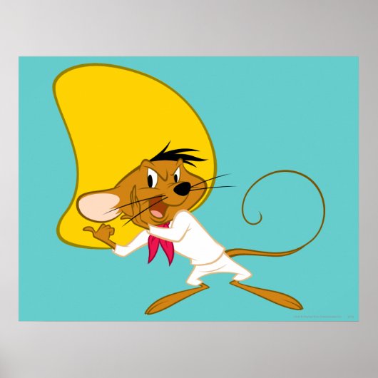 Poster SPEEDY GONZALES™ en couleur (Devant)