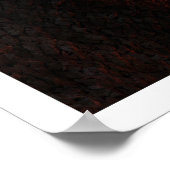 Poster Spellicule (Coin)