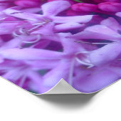 Poster Sphère de pourpre (Coin)