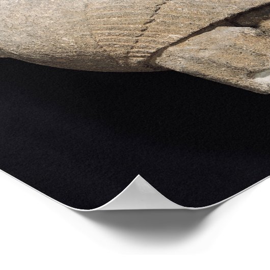 Poster Sphinx (Coin)