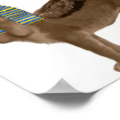 Poster Sphinx (Coin)