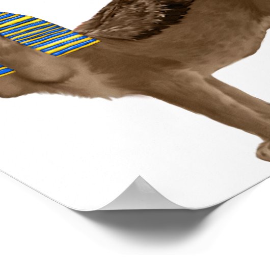 Poster Sphinx (Coin)