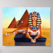 Poster Sphinx aux yeux dorés (Devant)