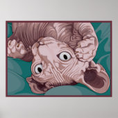 Poster Sphinx Joueur (Devant)