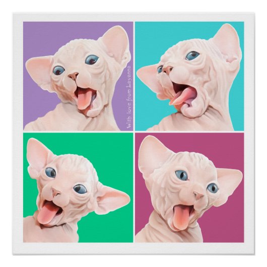 Poster Sphynx (Devant)