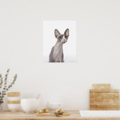 Poster Sphynx Cat with surprised expression (Cuisine)