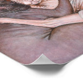 Poster Sphynx Sphinx Peinture de chats Art (Coin)