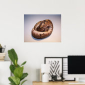 Poster Spider Ball Python (Thuiskantoor)