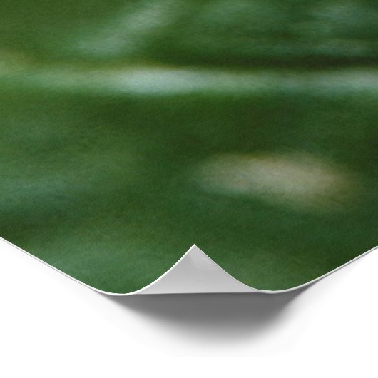 Poster Spider de la Métaphide (Coin)