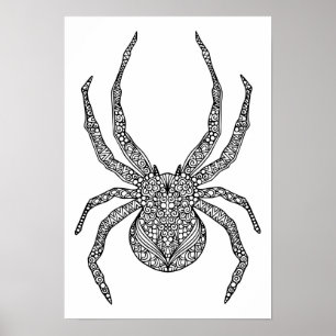 Poster Spider Doodle 2